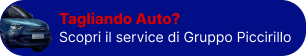 Scopri il servizio Gruppo Piccirillo